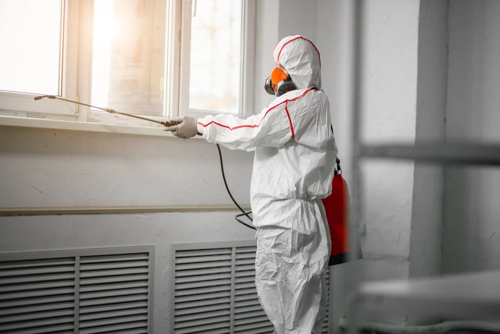 Professional mold remediation services in Thomson, GA